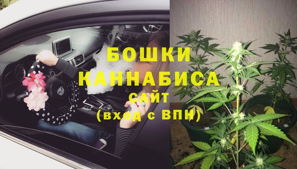 PSILOCYBIN Беломорск